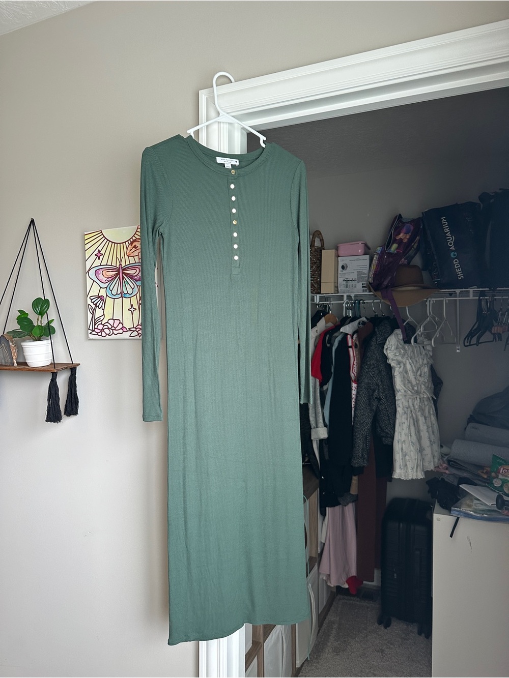 Ann Taylor Sage Green Long Sleeve Ribbed Maxi Dress with Button Placket